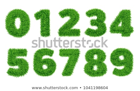 Stockfoto: Vector Set Grass Numbers