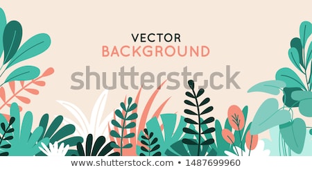 Foto stock: Plant