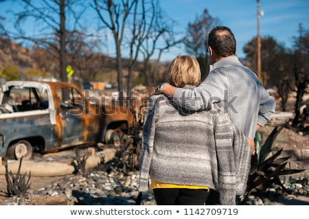 Stockfoto: Os · na · brand · ramp · verbrande · bomen