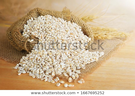 Foto stock: Barley