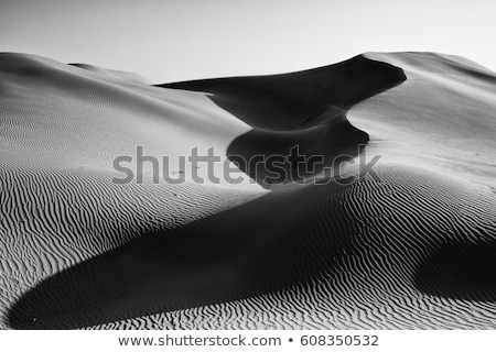 ストックフォト: Sand Dune Black And White