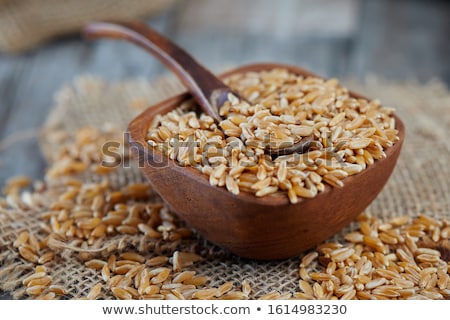 Stock photo: Khorasan