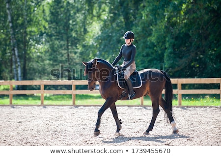 Сток-фото: Woman In Riding School