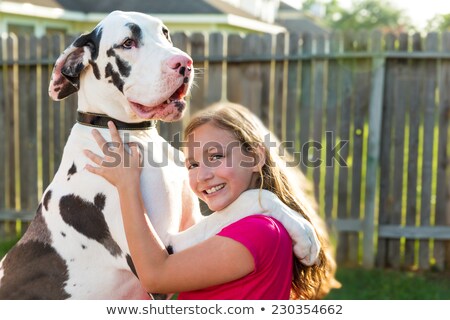 Foto stock: Great Dane And Child