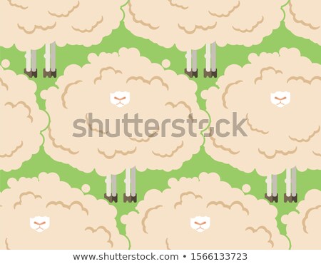 Imagine de stoc: Hairy Sheep Flock Seamless Pattern Shaggy Lamb Herd Background