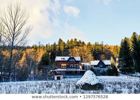 ストックフォト: Sinaia Wooden Cottages In Mountains