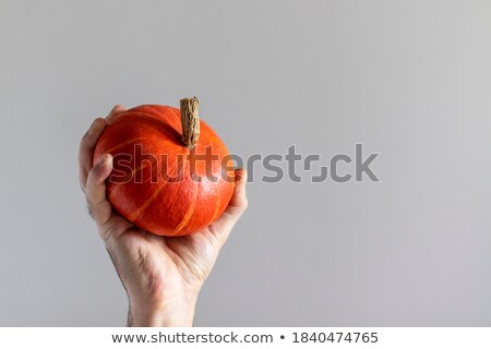 Stok fotoğraf: Small Decorative Organic Pumpkins On Grey