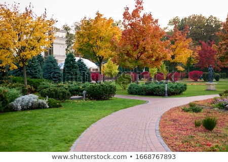 Stock fotó: Autumn Colored Bush On A Lawn