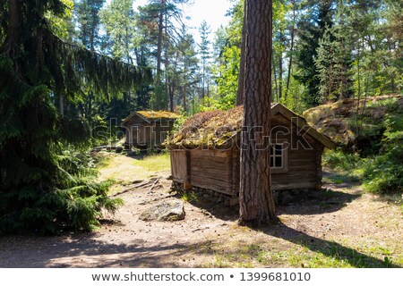 Сток-фото: Overgrown Roof