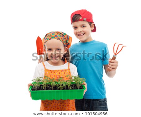 Stok fotoğraf: Seedlings In Germination Tray With Gardening Tools