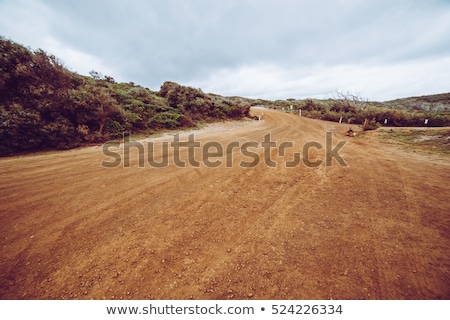 Foto stock: Dirt Road