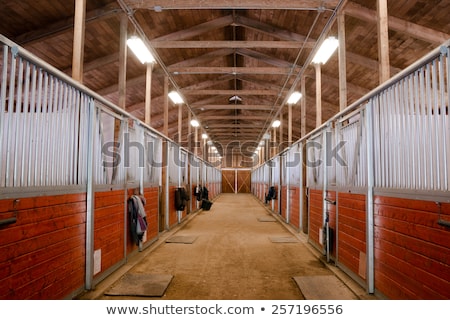 [[stock_photo]]: Horse Barn Animal Sport Paddock Equestrian Ranch Racing Stable