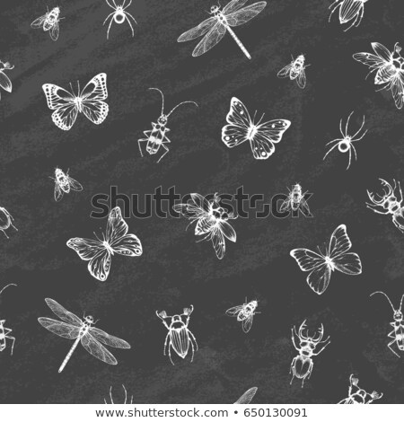 Foto stock: A Seamless Design With Spiders