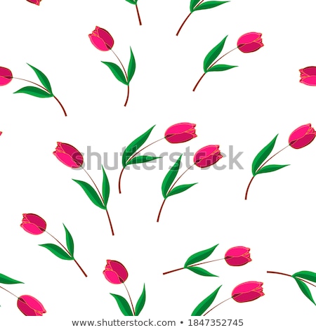 Tulips Decorative Background Eps 10 [[stock_photo]] © Tatik22