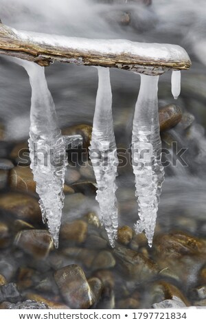 [[stock_photo]]: Hanging Icicles Above Streaming Water In Winter