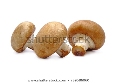 Stok fotoğraf: Swiss Brown Mushrooms