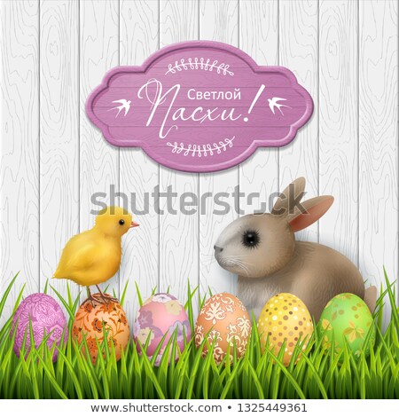 Green Easter Card With Chicken Foto stock © kostins