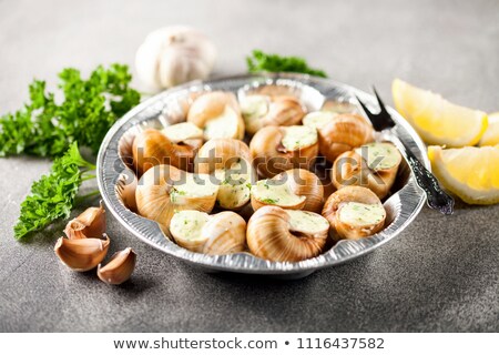 Stockfoto: Bourgogne Snails