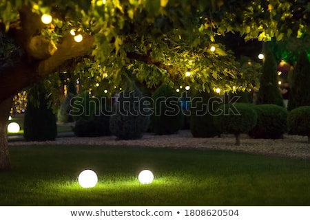 Stock photo: Illuminated