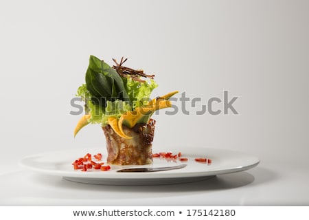 Foto stock: Chef Serving Fancy Meal