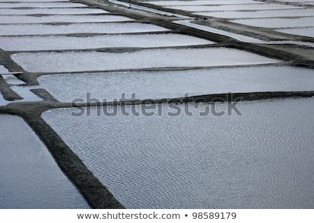 Stock fotó: Evaporation Ponds For Sea Salt Production