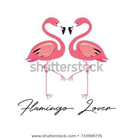 ストックフォト: Pink Flamingos In Love