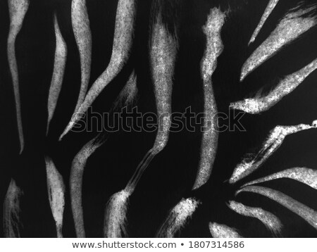 Foto stock: Gray Striped Stepped Abstract Texture With Contrast Border