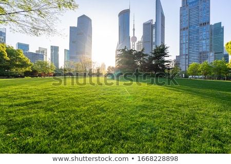 Foto stock: City Park Green Trees On Background Of Skyscrapers