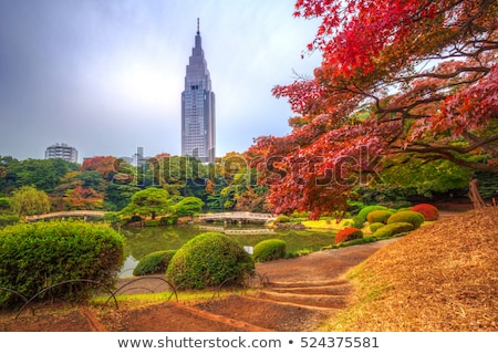 Сток-фото: Yoyogi Park Pond Tokyo Japan