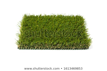 Stockfoto: Section Of Artificial Turf Grass On White Background