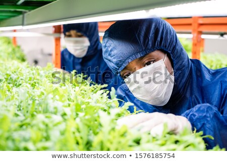 Stock foto: Female Researcher In Protective Workwear Standing By Shelf With Green Seedlings