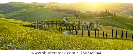 Foto stock: Tuscany Countryside