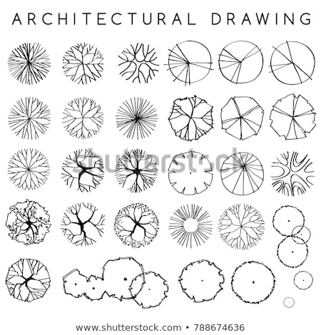 Stock photo: Trees Top View For Architecture Landscape Design Projects