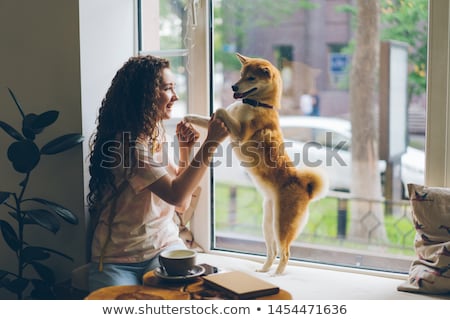 Foto stock: Dog Dancing