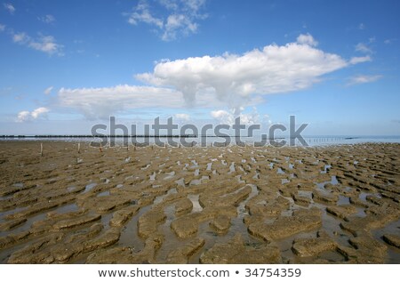 Stock fotó: Low Tide At The Borders Of The Wadden Sea