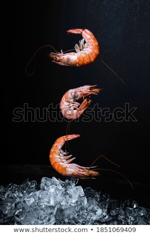 Stok fotoğraf: Seafood Concept