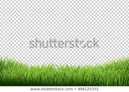 Stockfoto: Green Grass Border Transparent Background