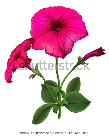 Foto stock: Petunia Flowers Abstract Background