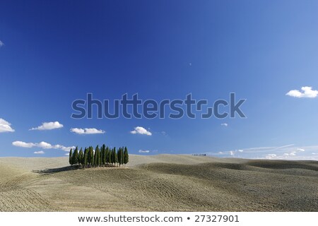 Stok fotoğraf: Typical Tuscan Landscape With Tree Lines And Farmhouses Italy