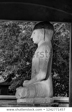 Сток-фото: Samadhi Buddah Statue Meditating Buddah