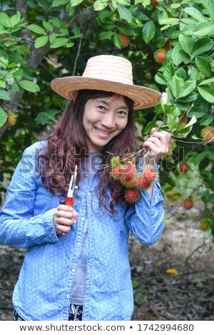 Stock photo: Smiling Young Girl Picking Dry Leaves Tree