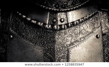 Stock fotó: Armour