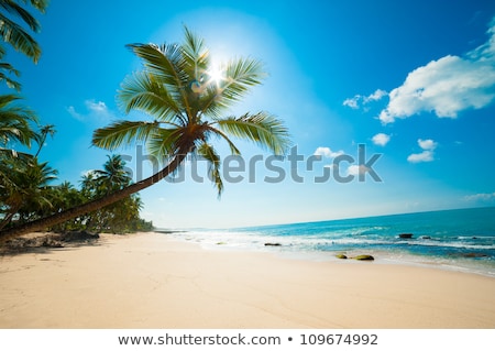 Stock fotó: Beautiful Sunny Day At Tropical Beach With Palm Tree