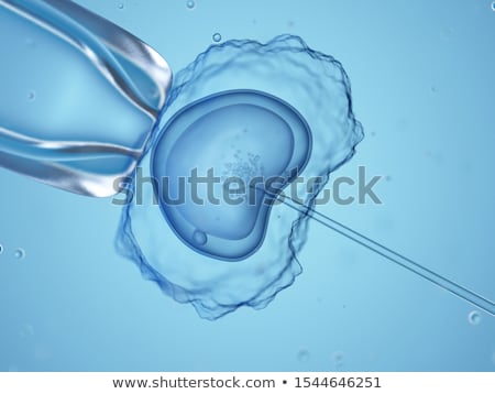ストックフォト: Medically Accurate Illustration Of Human Sperms And Egg