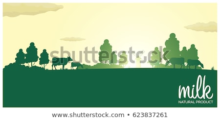 Stockfoto: Milk Natural Product Rural Landscape With Mill And Cows Dawn In The Village