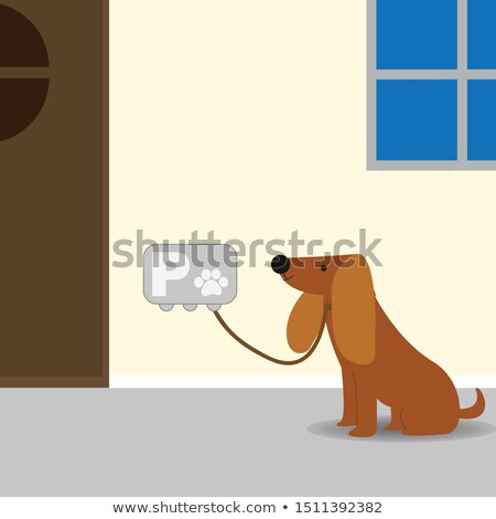 Foto stock: Dog Waiting Outside Shop