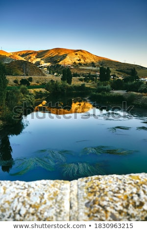 Stockfoto: Hill Trees In Evening Sunlight Hdr Shot