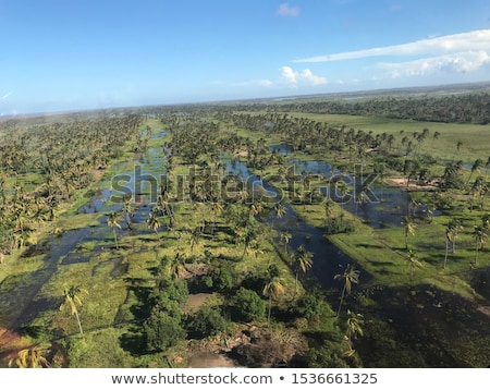 Stock foto: Cyclone Hit The Mountain