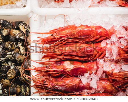 Foto d'archivio: Fresh Seafood On Fish Market In Madrid Spain