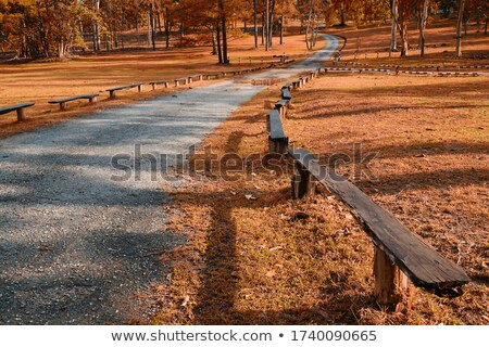 ストックフォト: Gravel Road In The Rustic Thailand